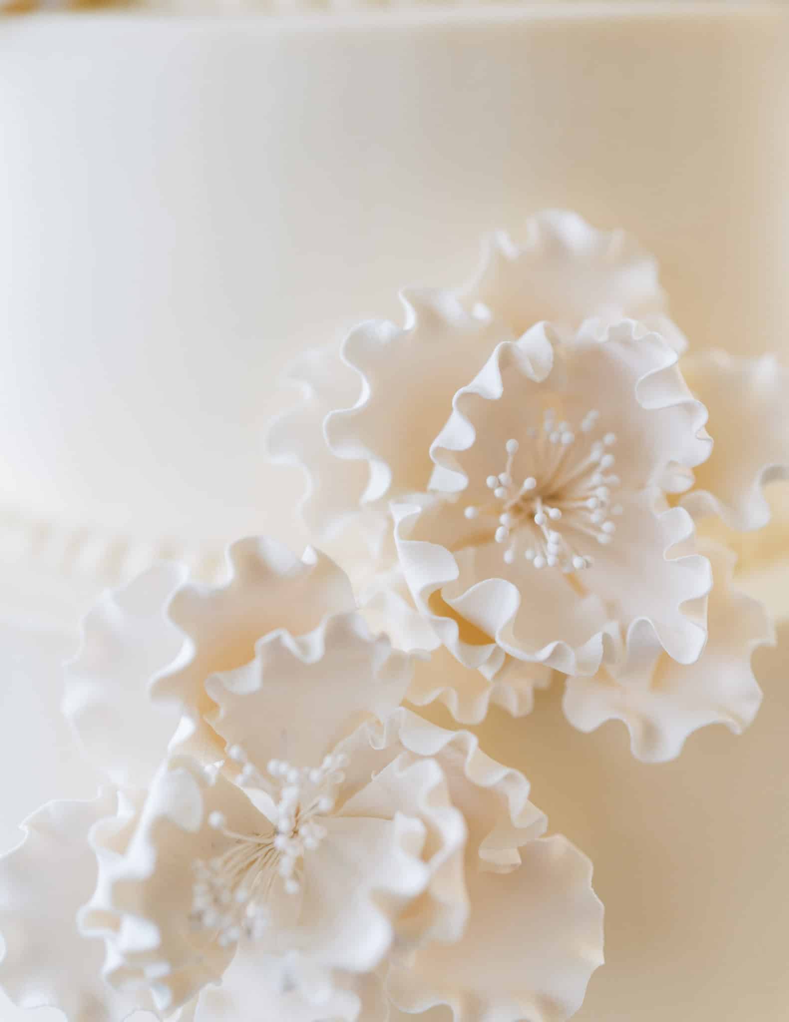 Gumpaste flower detail | Petite Sweets by Laura | Photo by Bailee Starr Photography